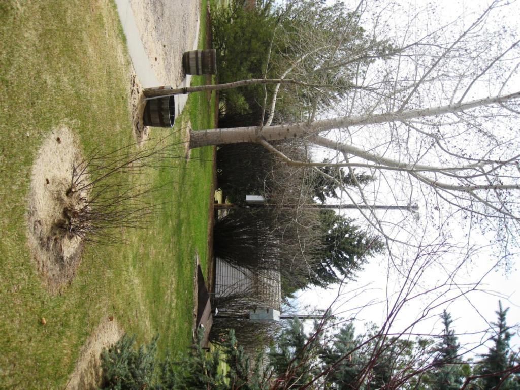 Sproule Heritage Bed & Breakfast Strathmore Εξωτερικό φωτογραφία